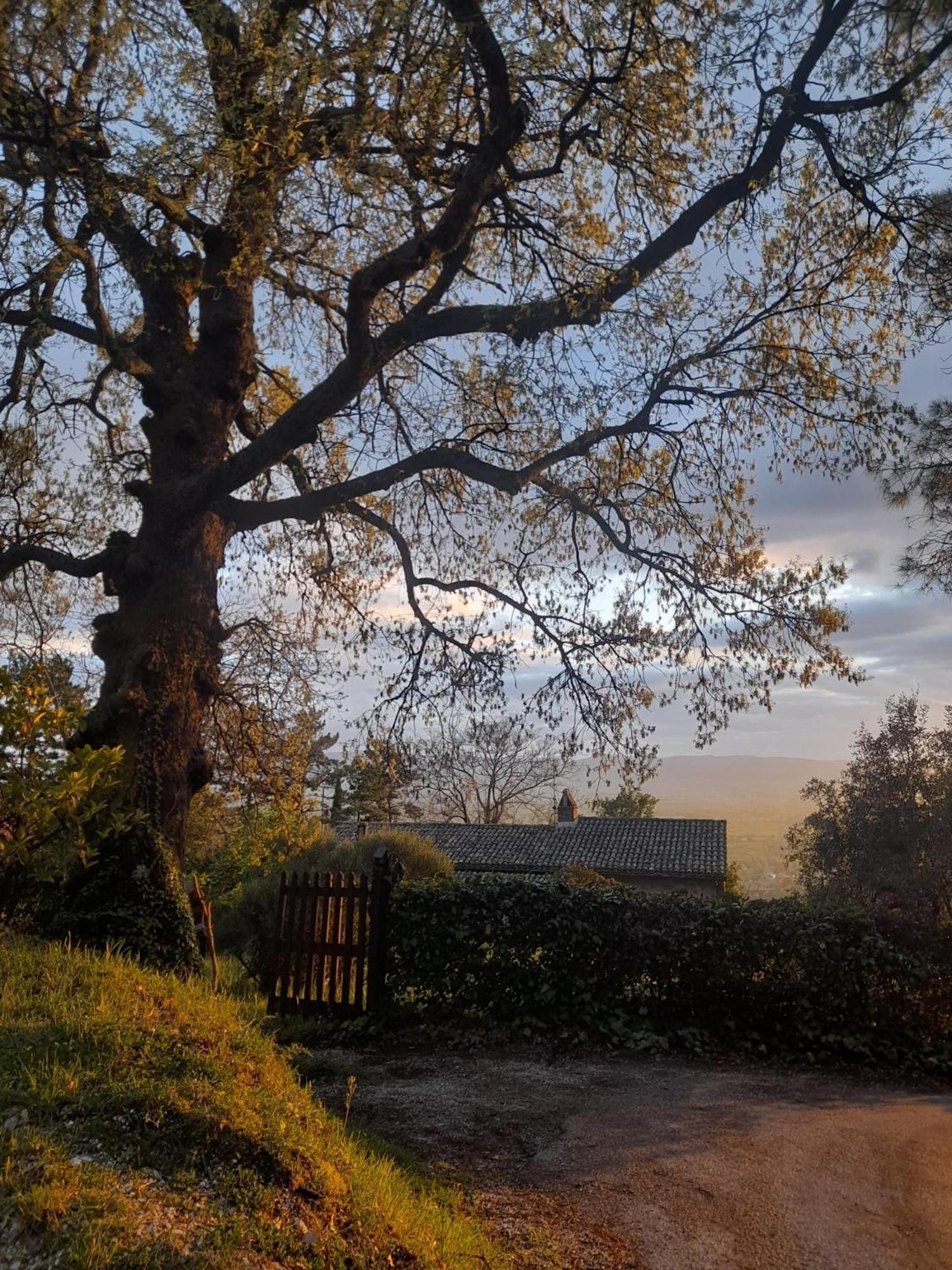 B&B Il Sentiero Di Assisi Exterior foto