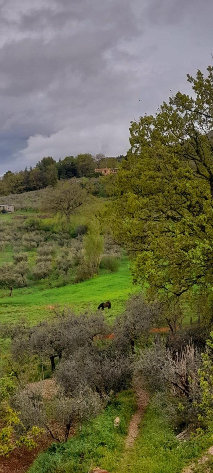 B&B Il Sentiero Di Assisi Exterior foto