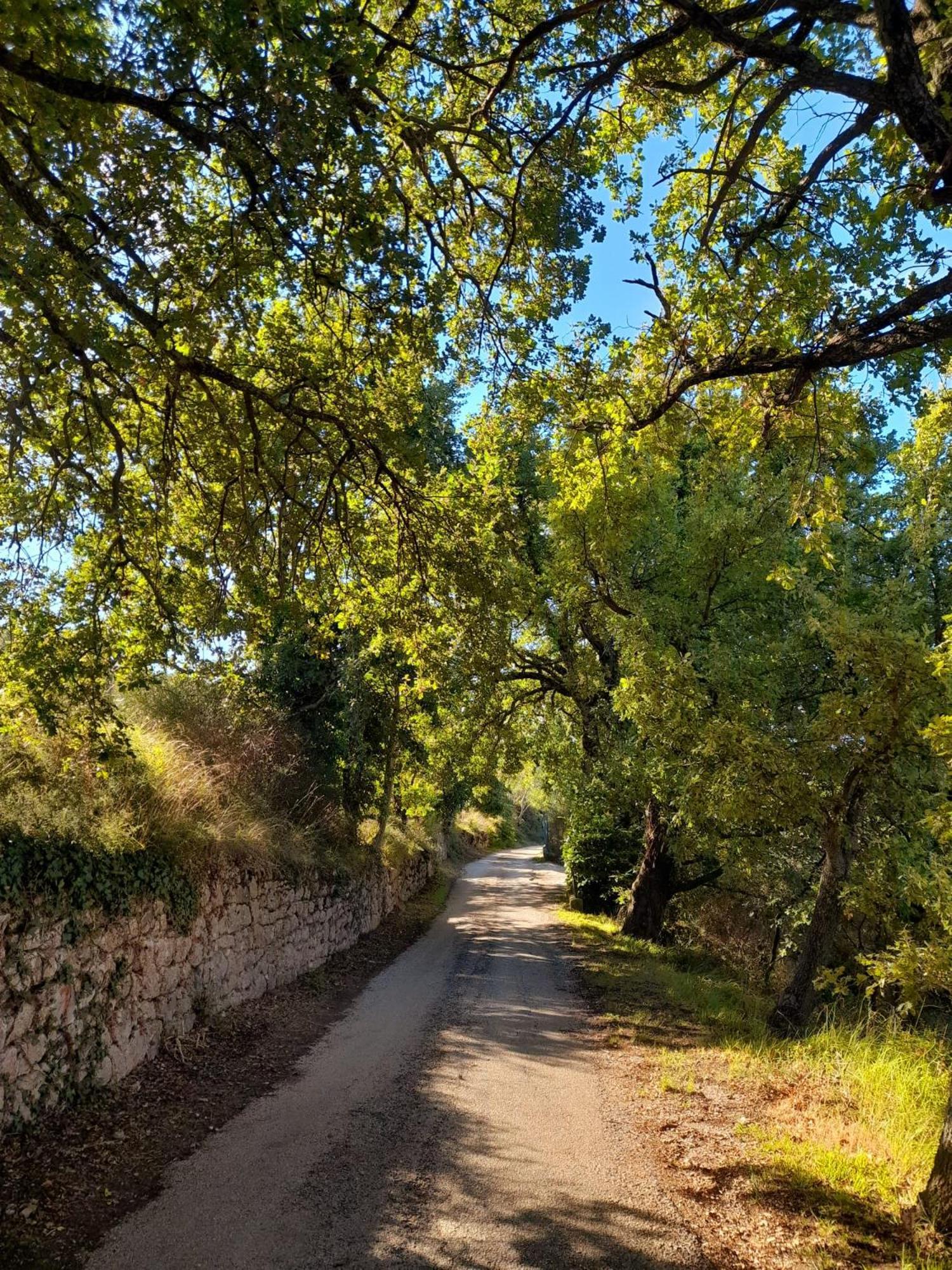 B&B Il Sentiero Di Assisi Exterior foto