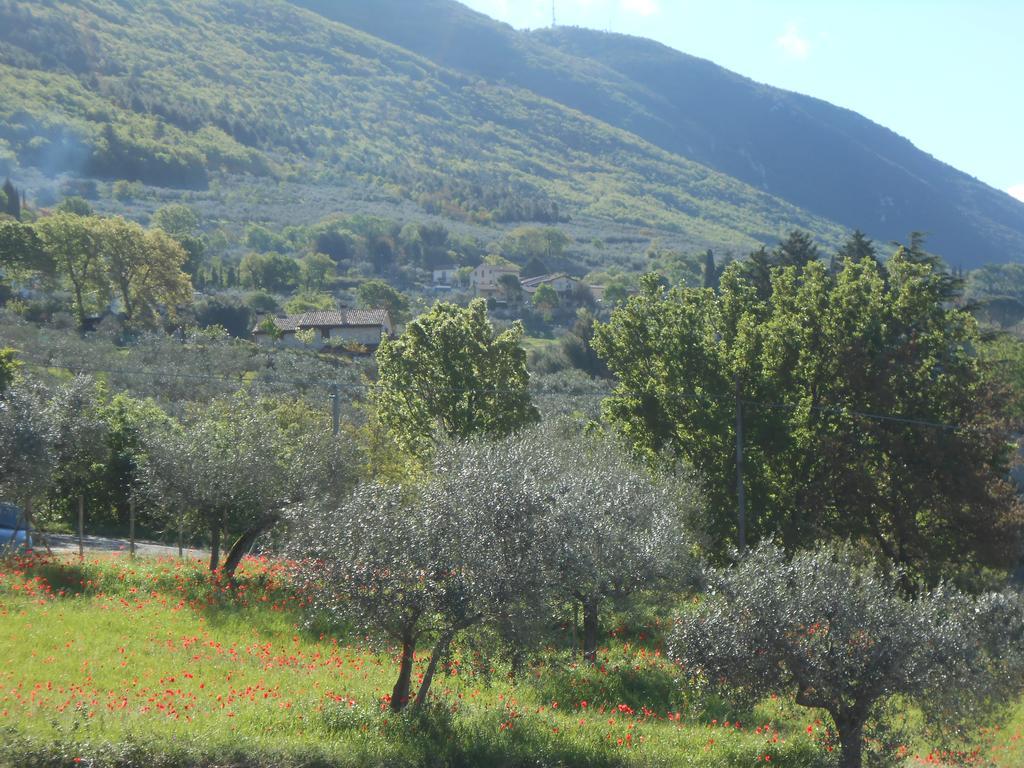 B&B Il Sentiero Di Assisi Exterior foto