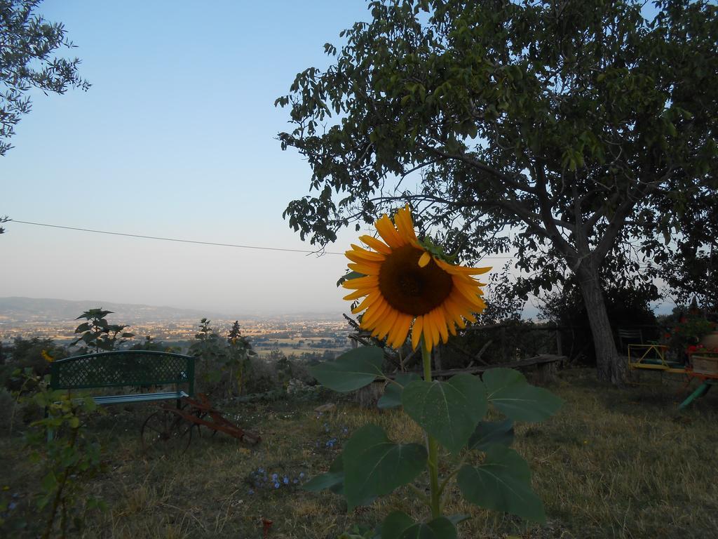 B&B Il Sentiero Di Assisi Exterior foto