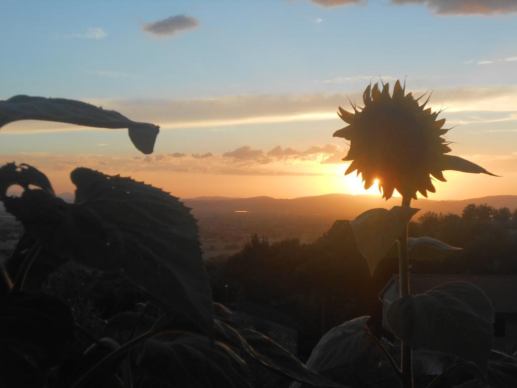 B&B Il Sentiero Di Assisi Exterior foto