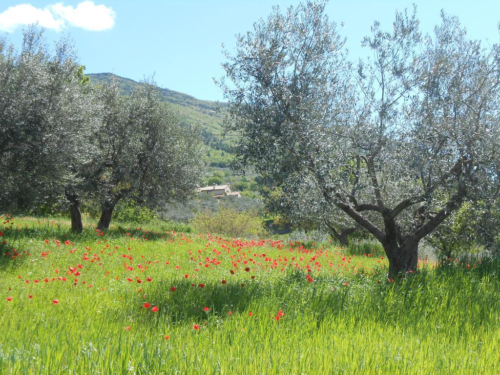 B&B Il Sentiero Di Assisi Exterior foto