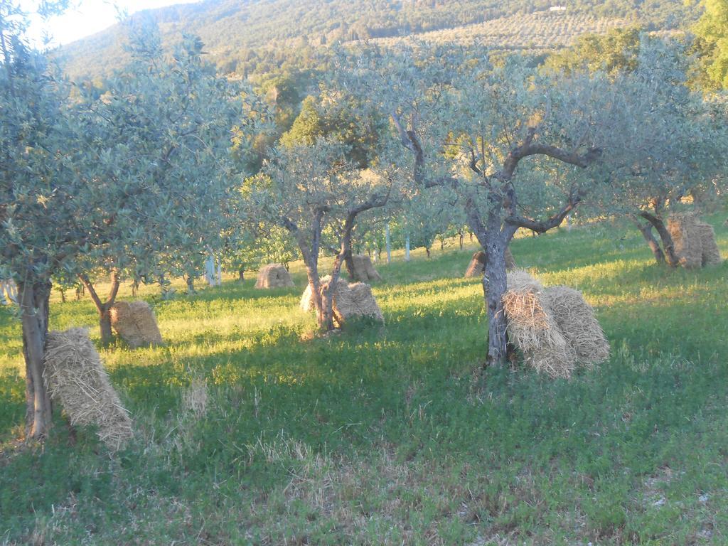 B&B Il Sentiero Di Assisi Exterior foto